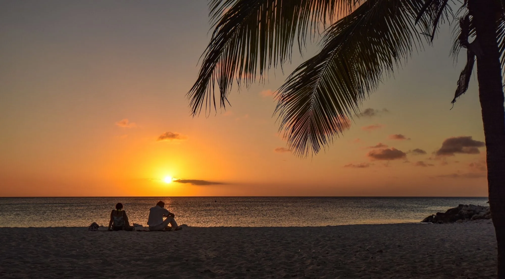 A couple watching the sun set over the sea from a Curaçao beach beneath a palm
