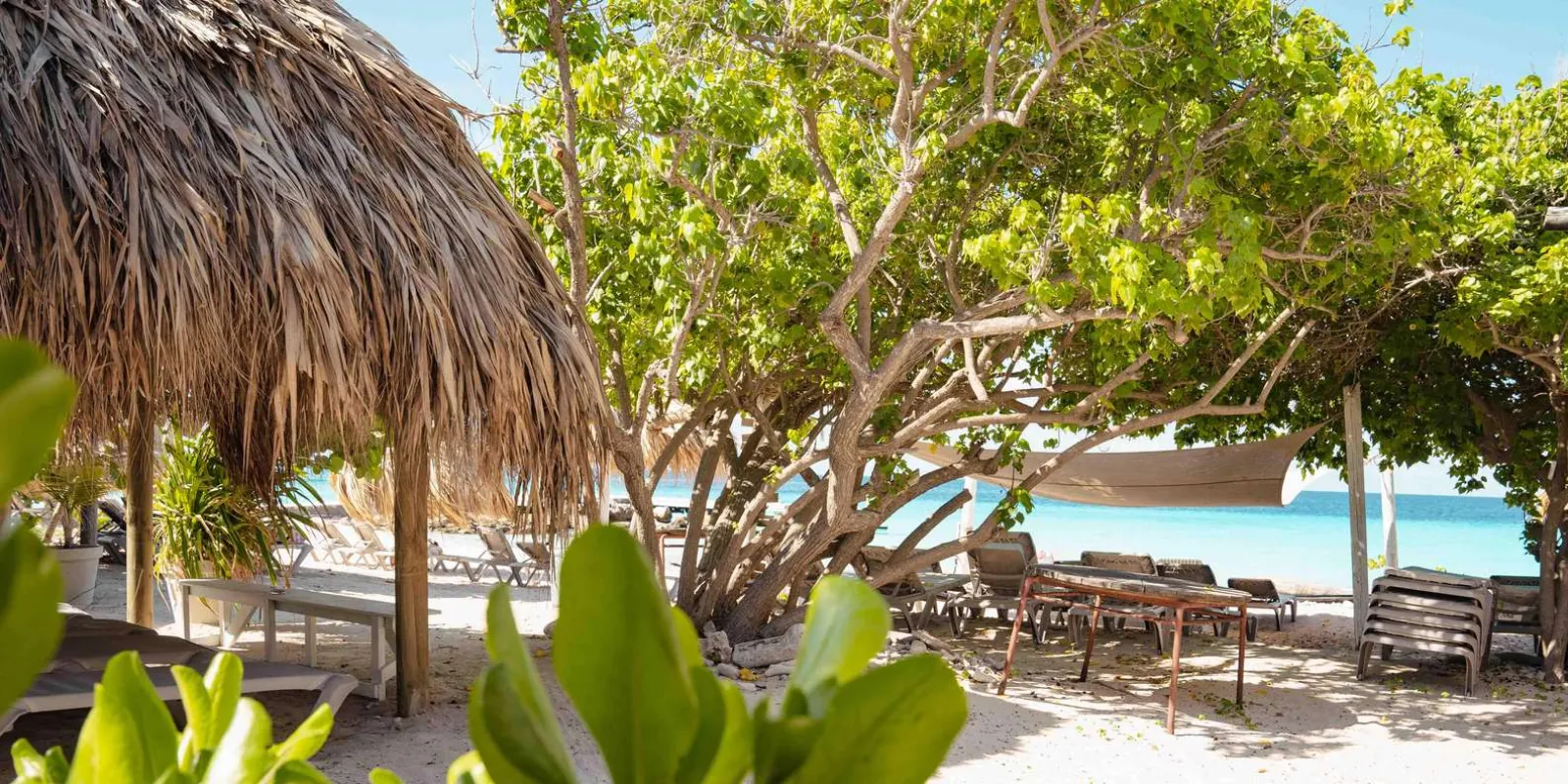 Loungers and shade at the Miss Ann beach house on Klein Curacao