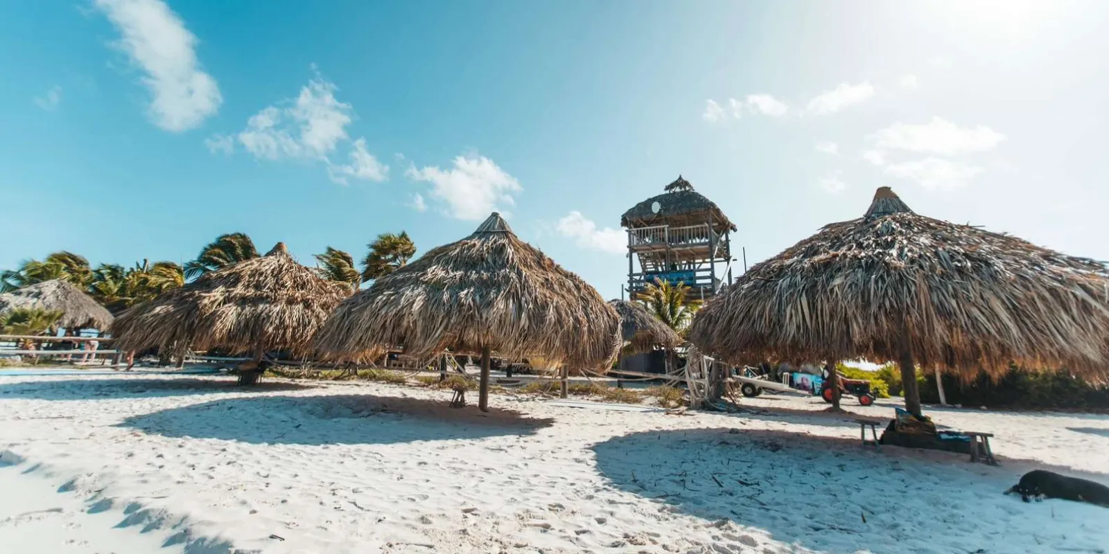 Thatched palapas and the wooden lookout tower behind Klein Curacao's beach