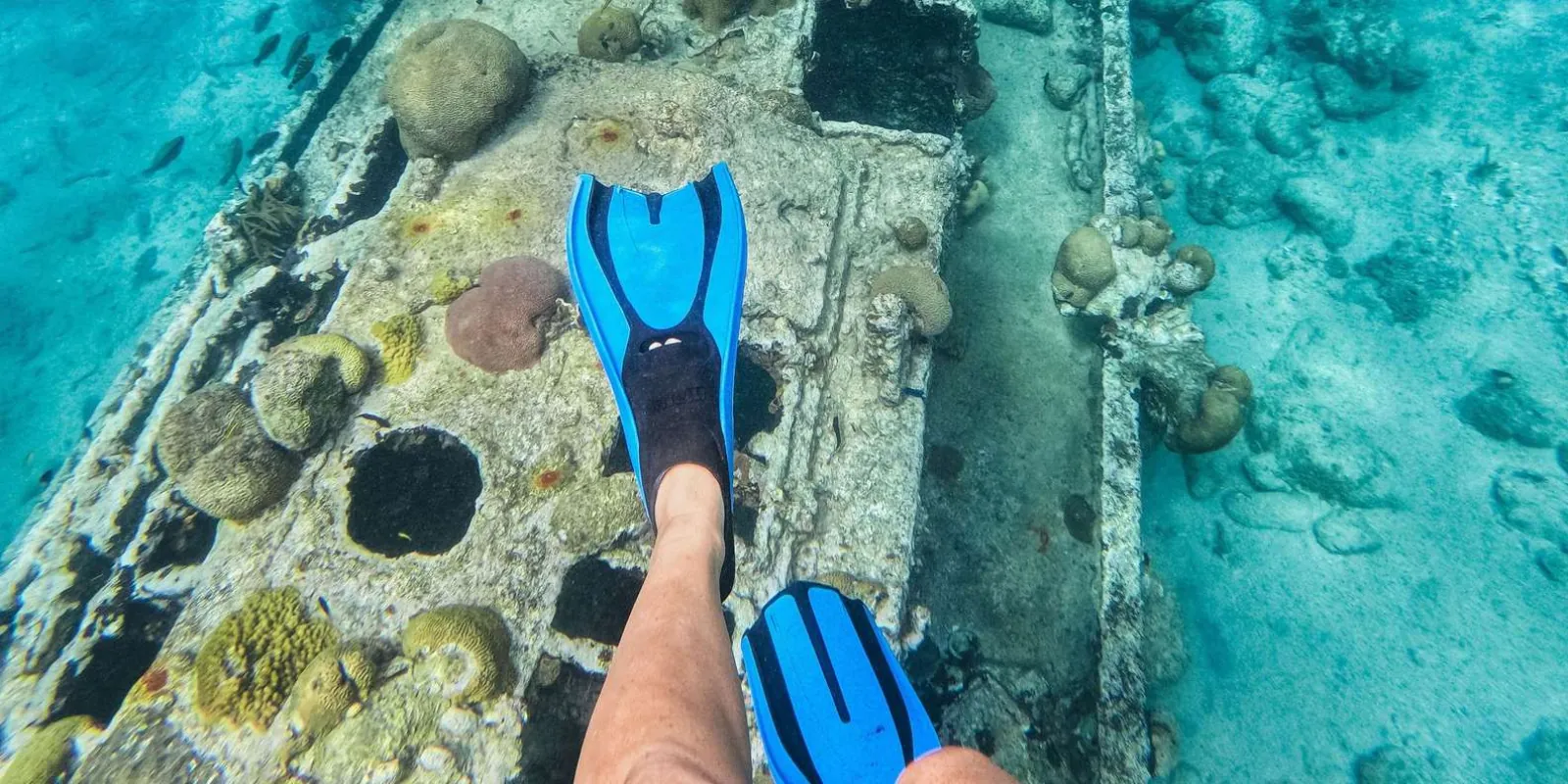 A snorkeler's fins above the coral-covered hull of the Tugboat Wreck